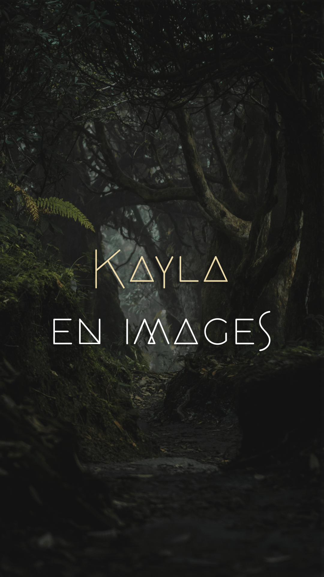 Kayla en images -aesthetic du livre